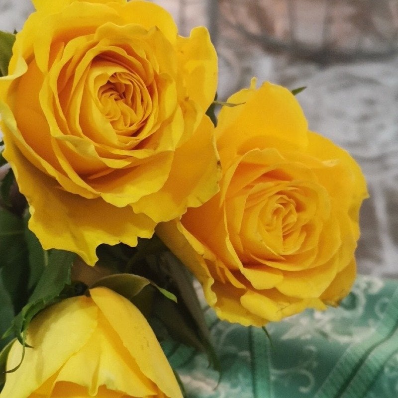 اسماء البيشي