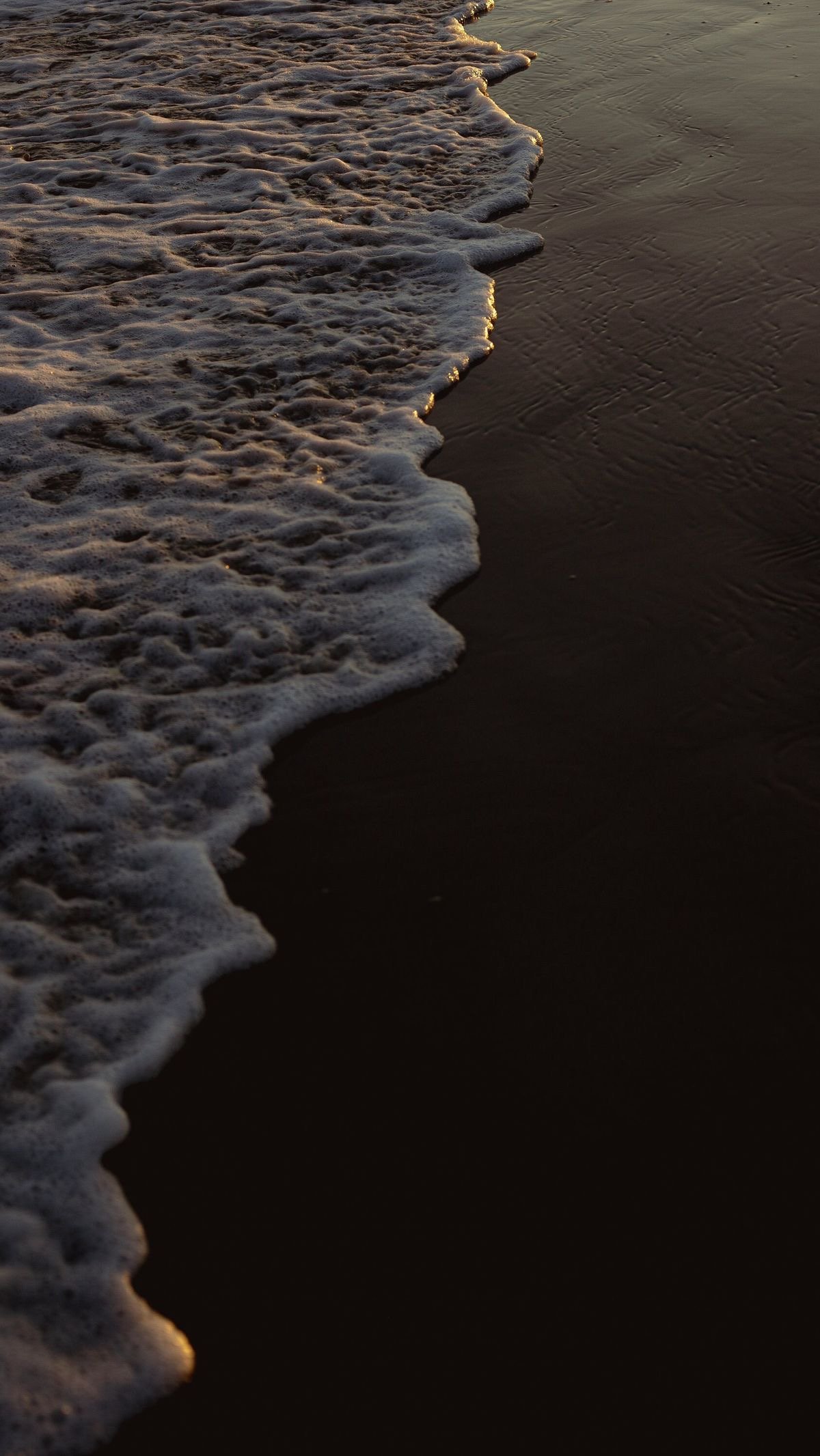 ريماس دغريري