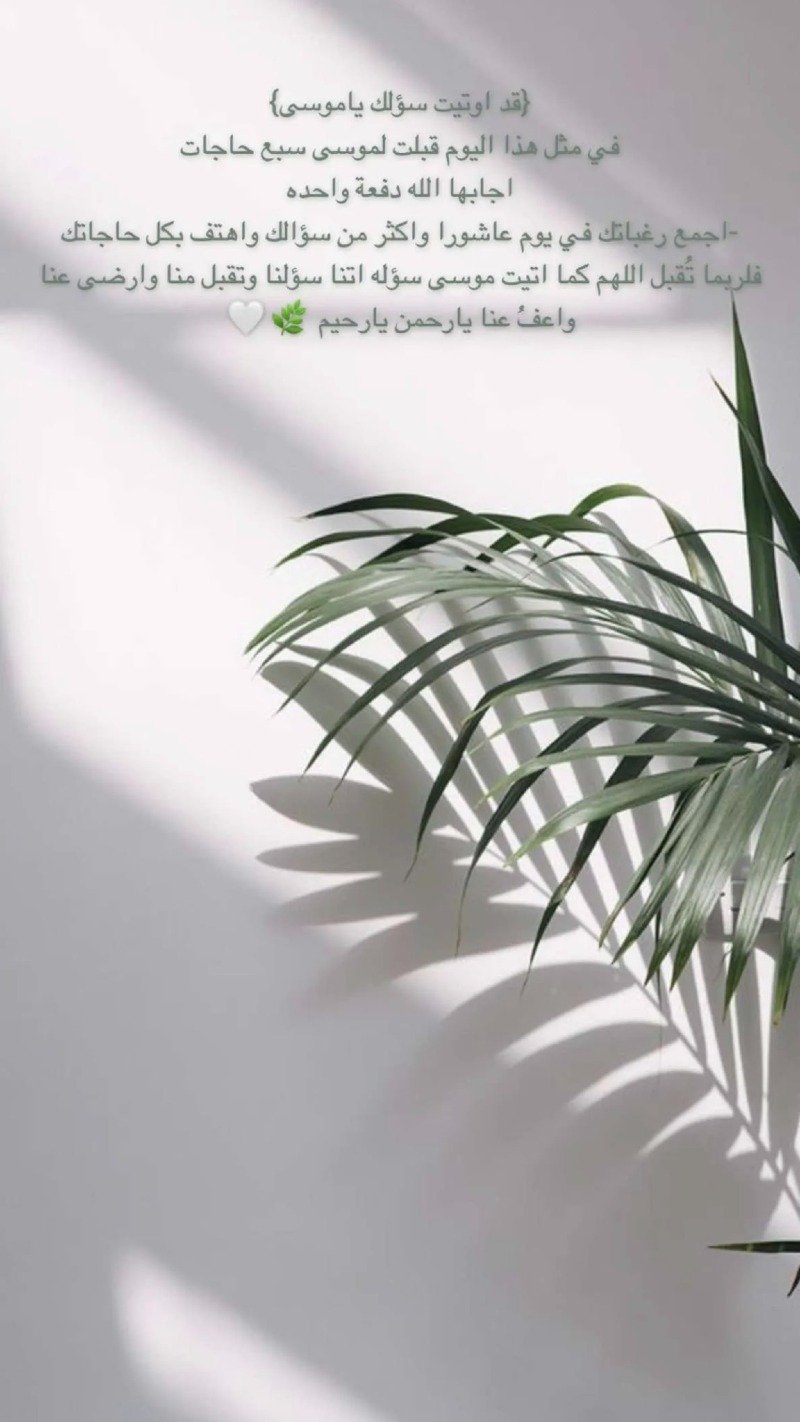 مشاعل القحطاني