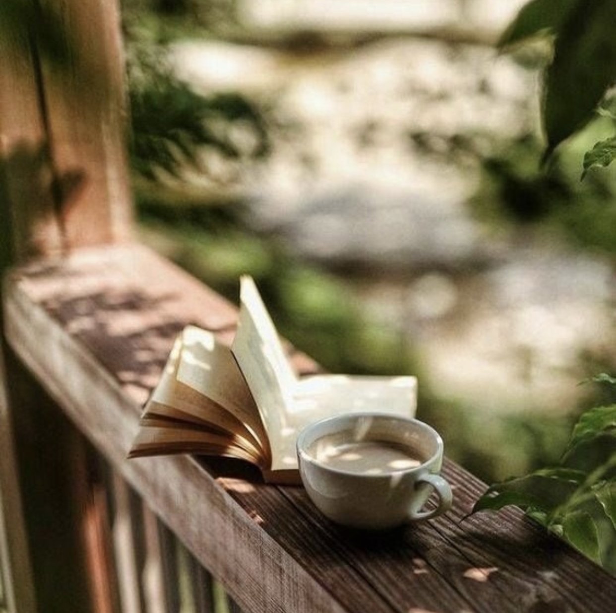 ولاء الرفاعي