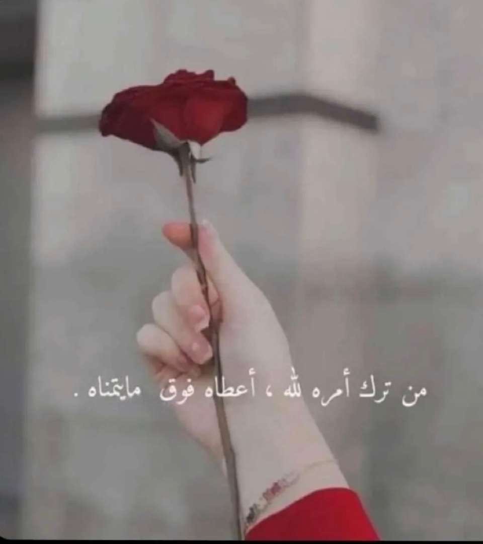 عجايب بنت الشمري