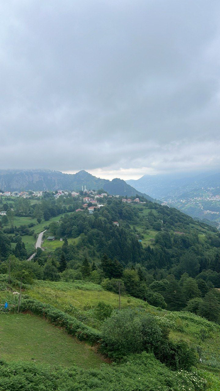 Abdulrahman Almutairi