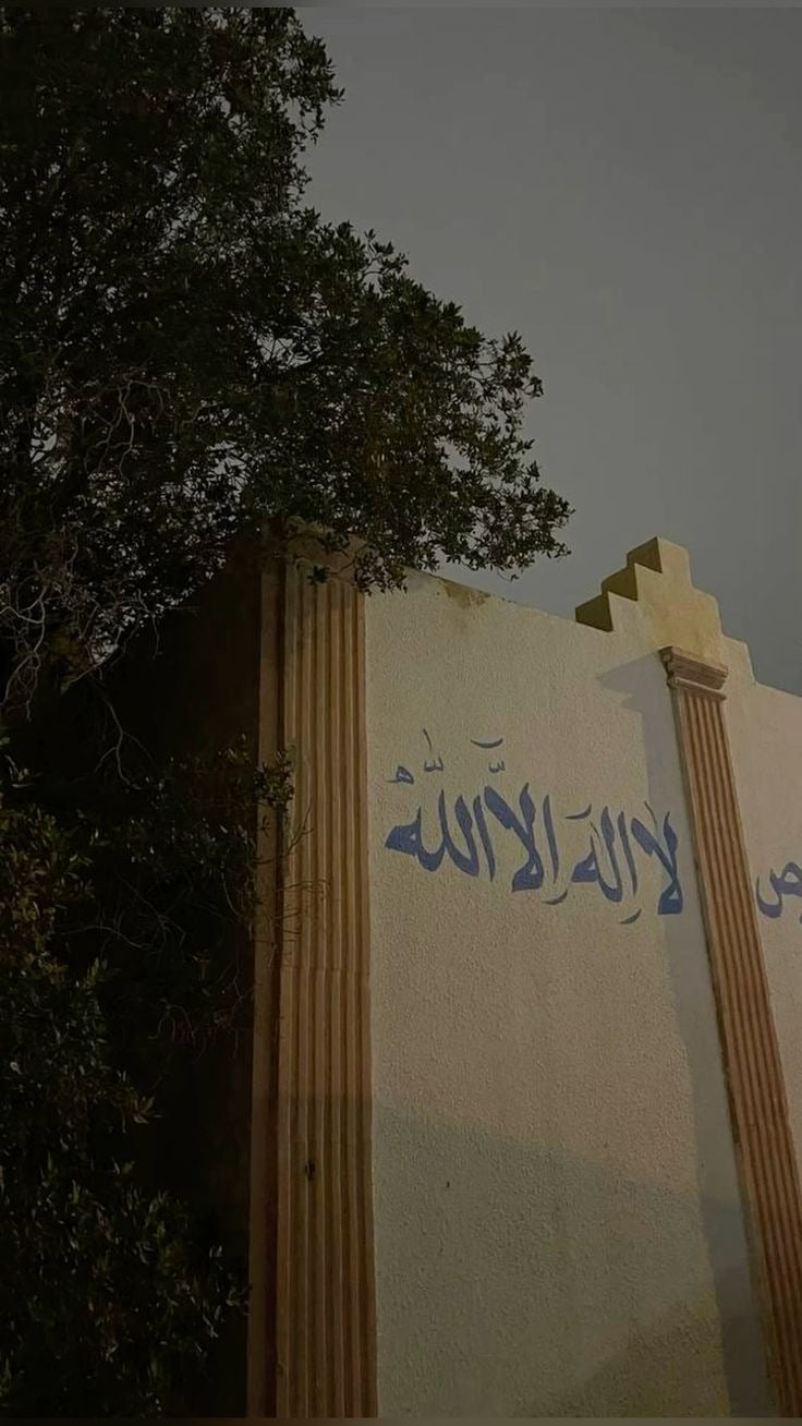 جنى المالكي