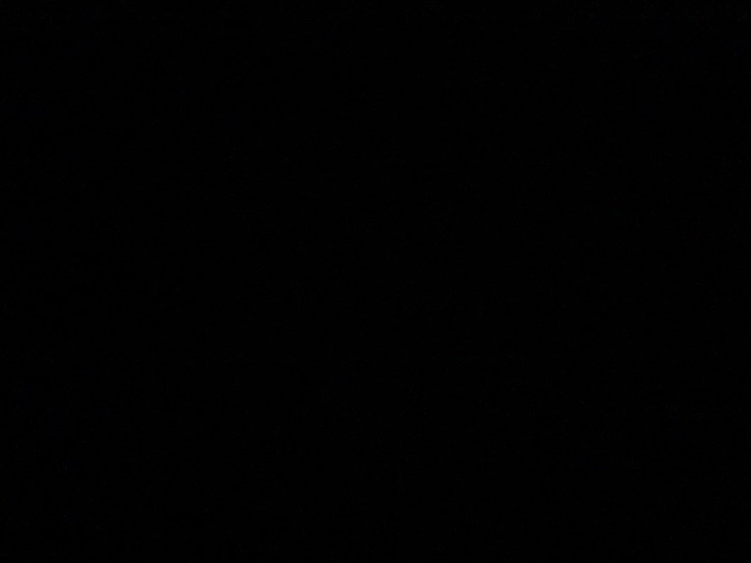 زون الحميدان