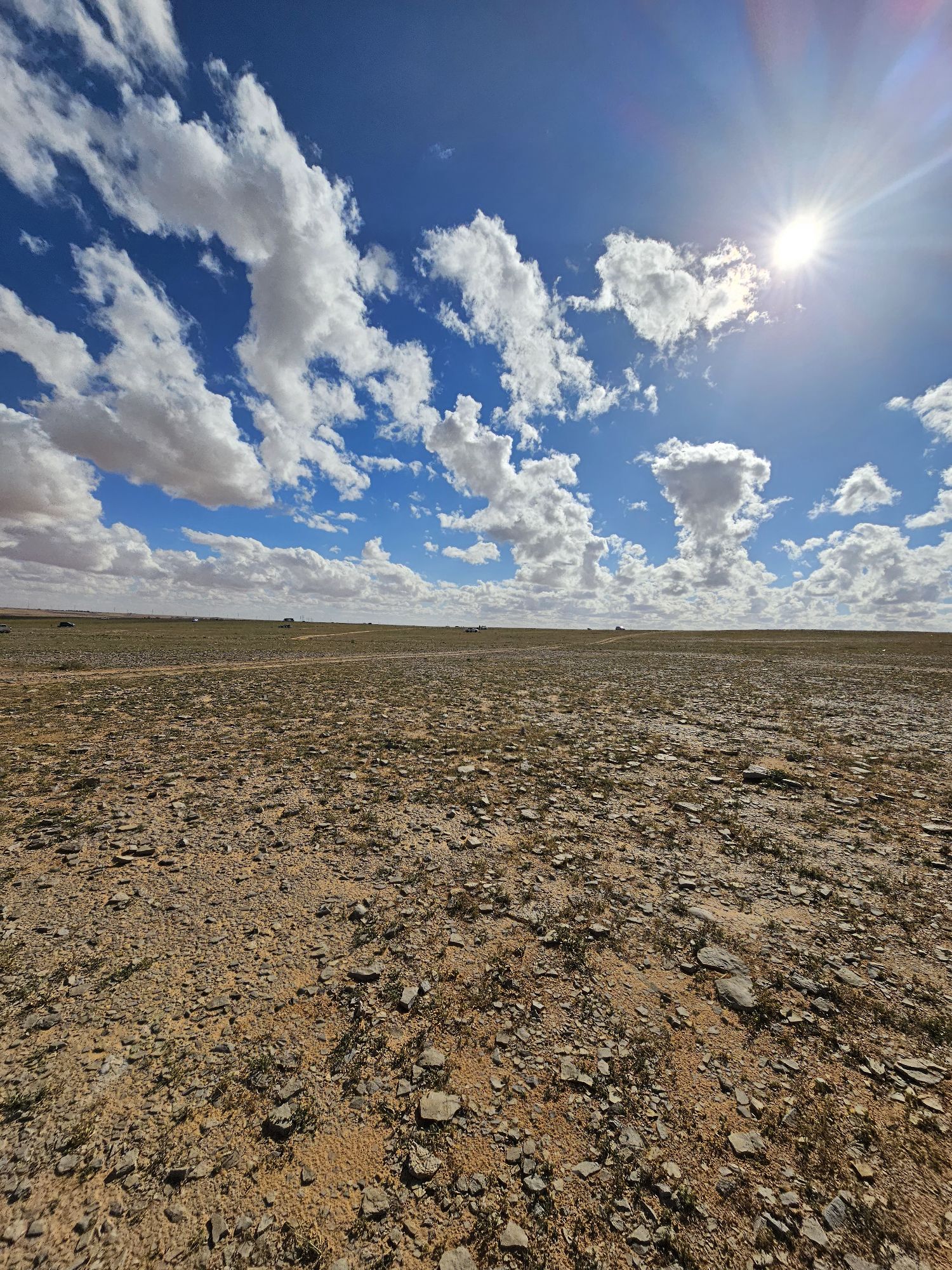 بدر الحجيلي