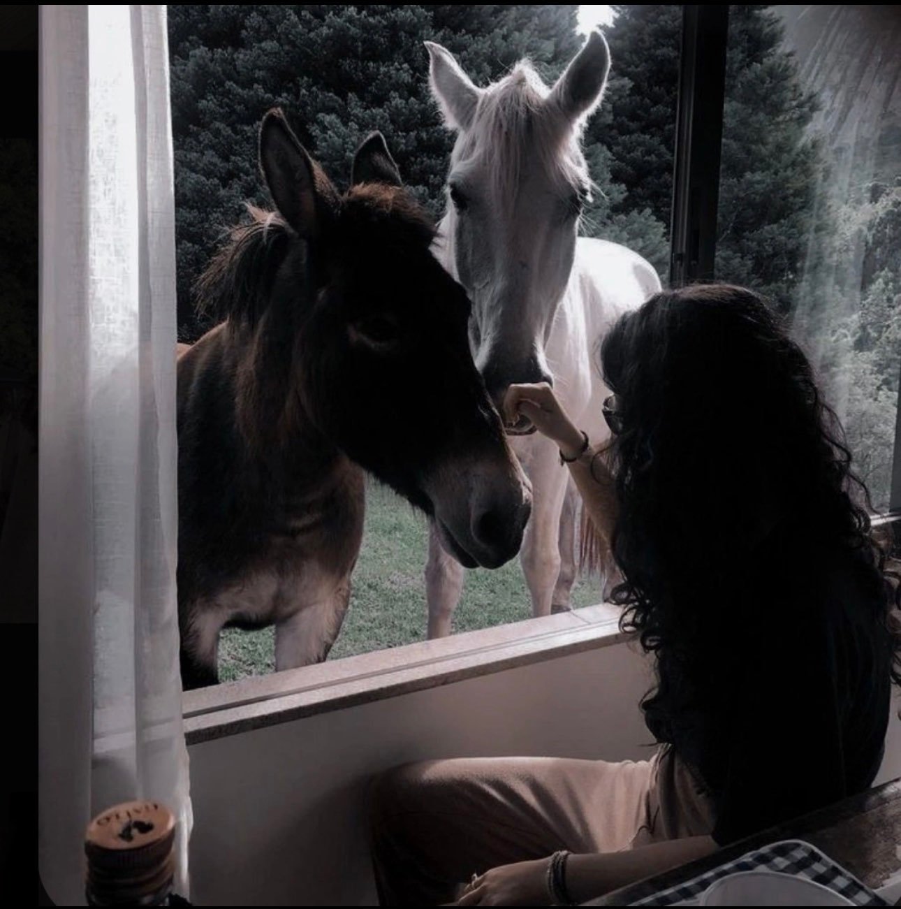 الفتون دخيل