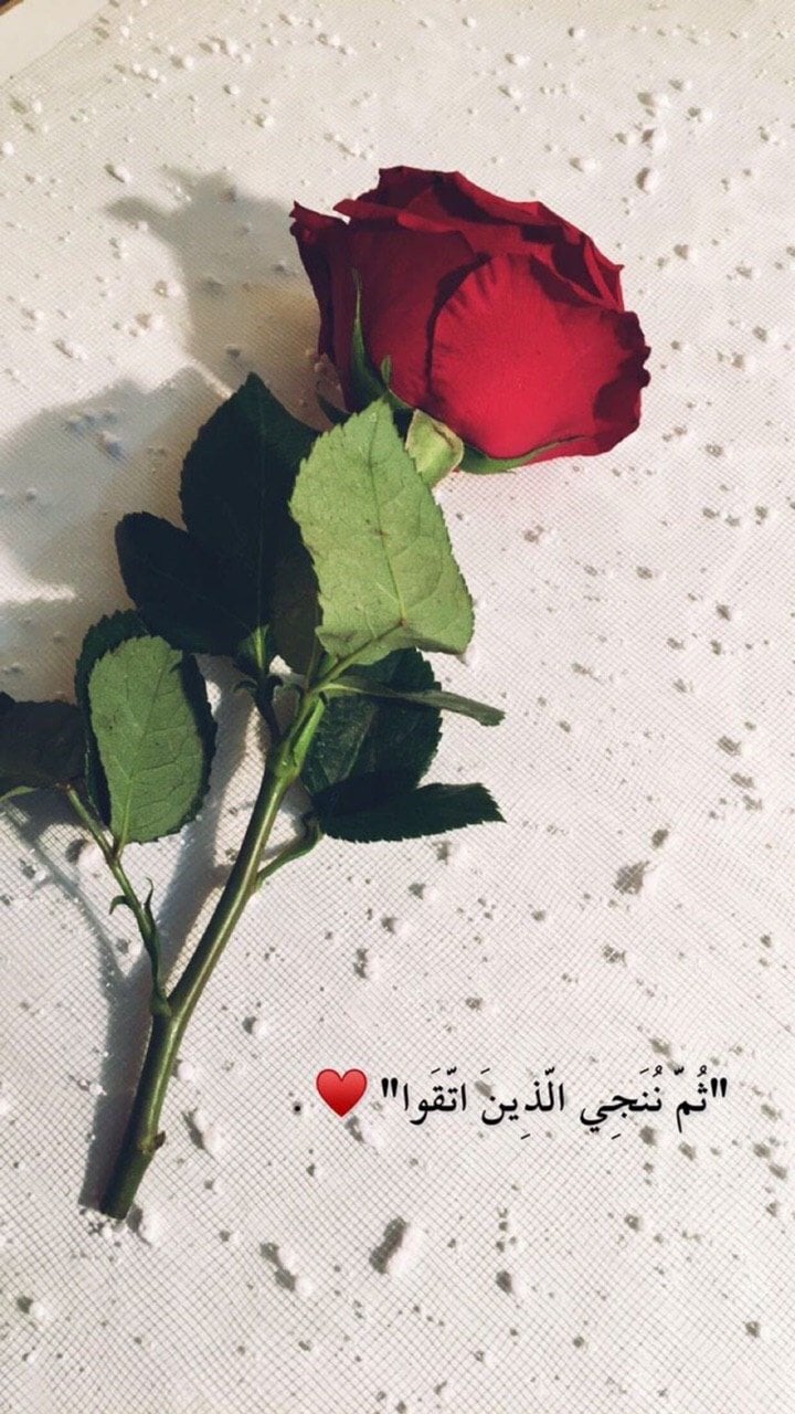 سميه الهاشمي