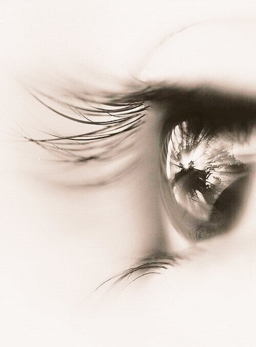 نقيسه ابو هريرة .