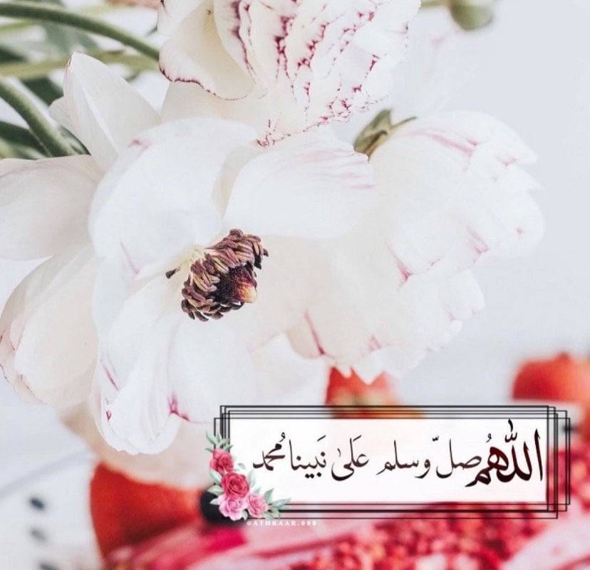 تهاني العسيلي