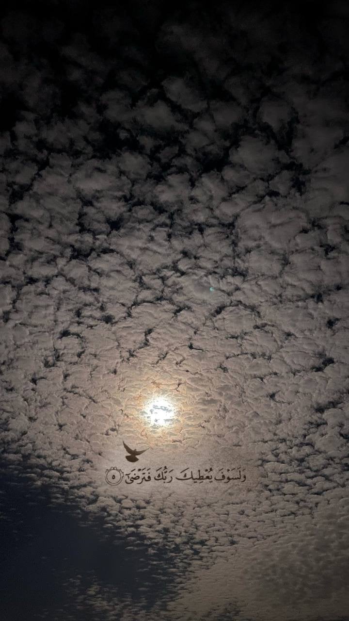 معاذ احمد موسى ال مشافي