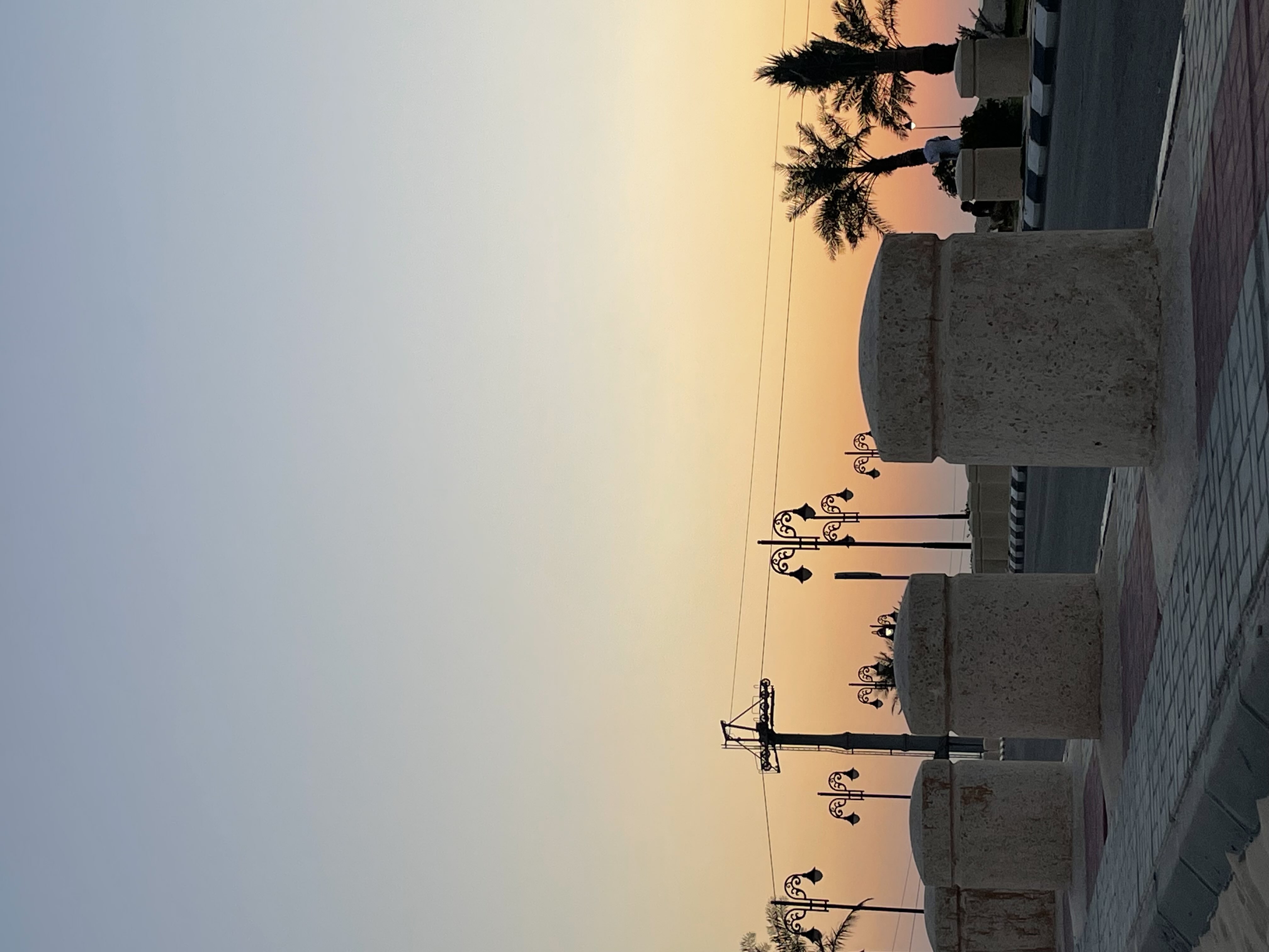 زهره العامري