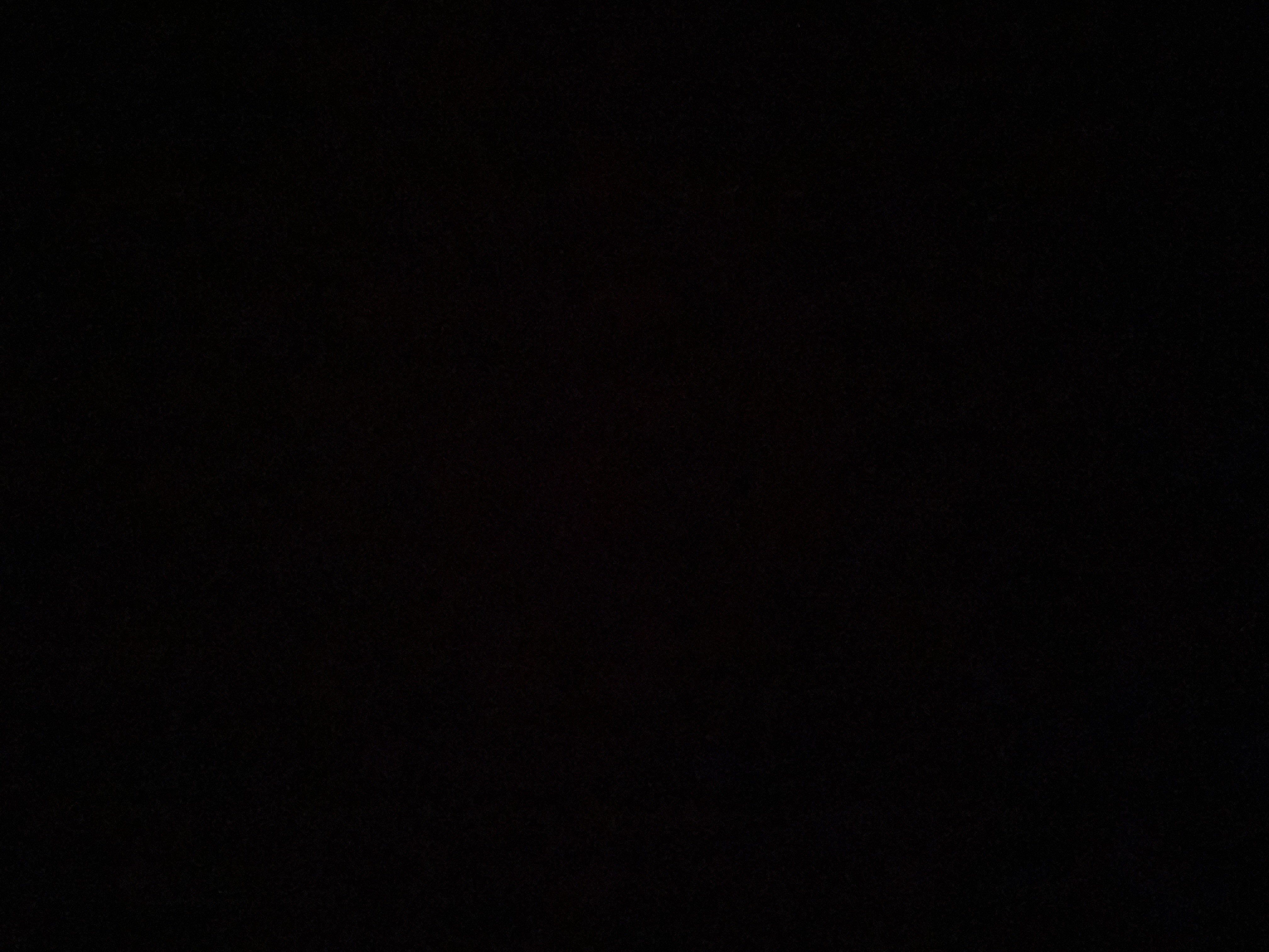 عبدالرحمن الرويلي