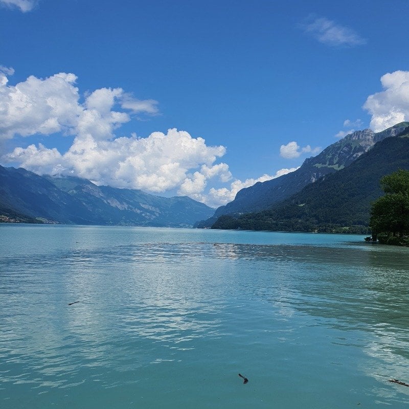 سلمان الزامل