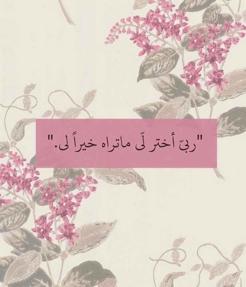 بدور البادي