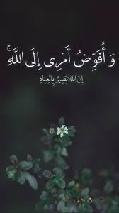 محمد العمري