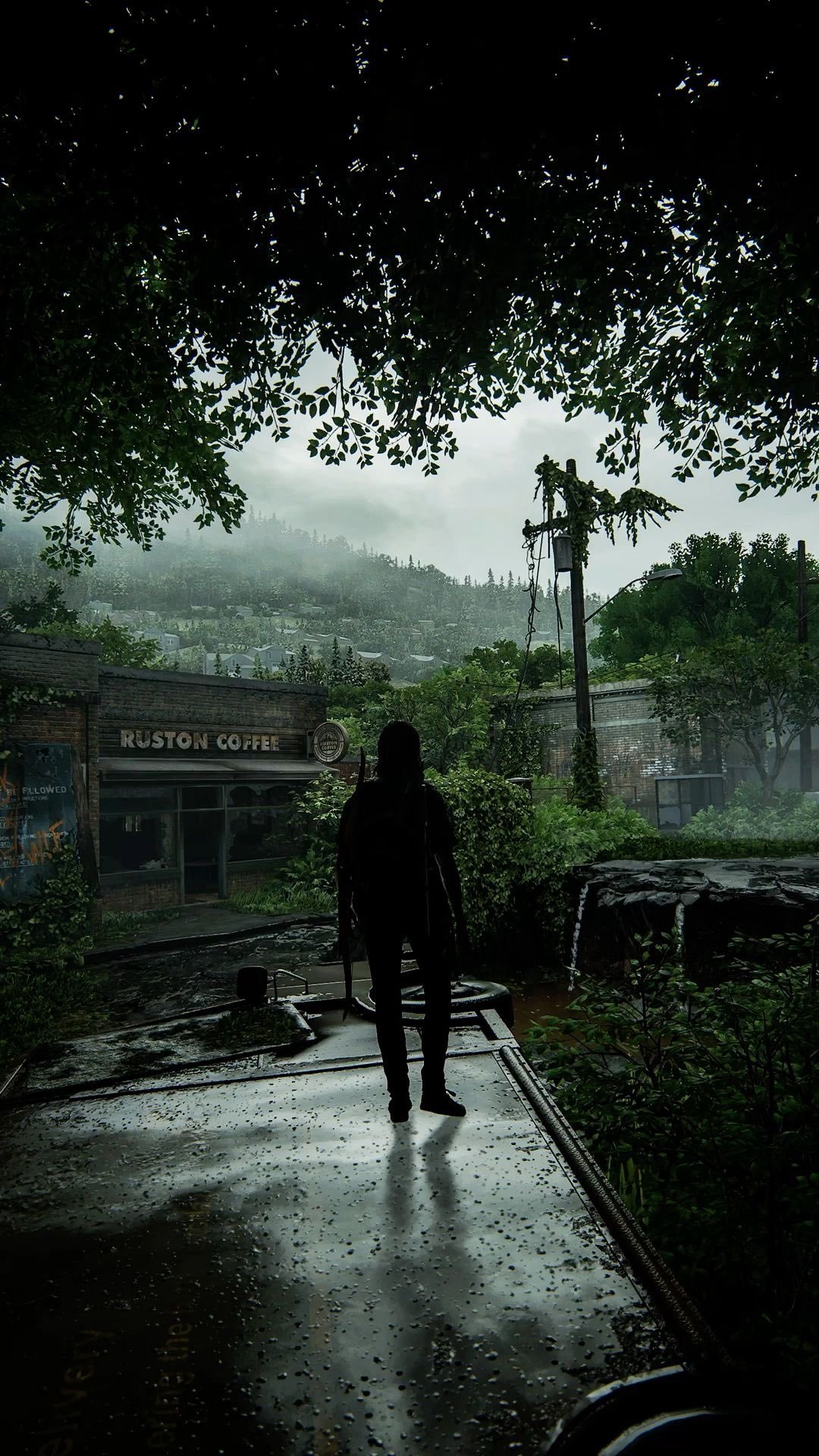 ريناد الحربي