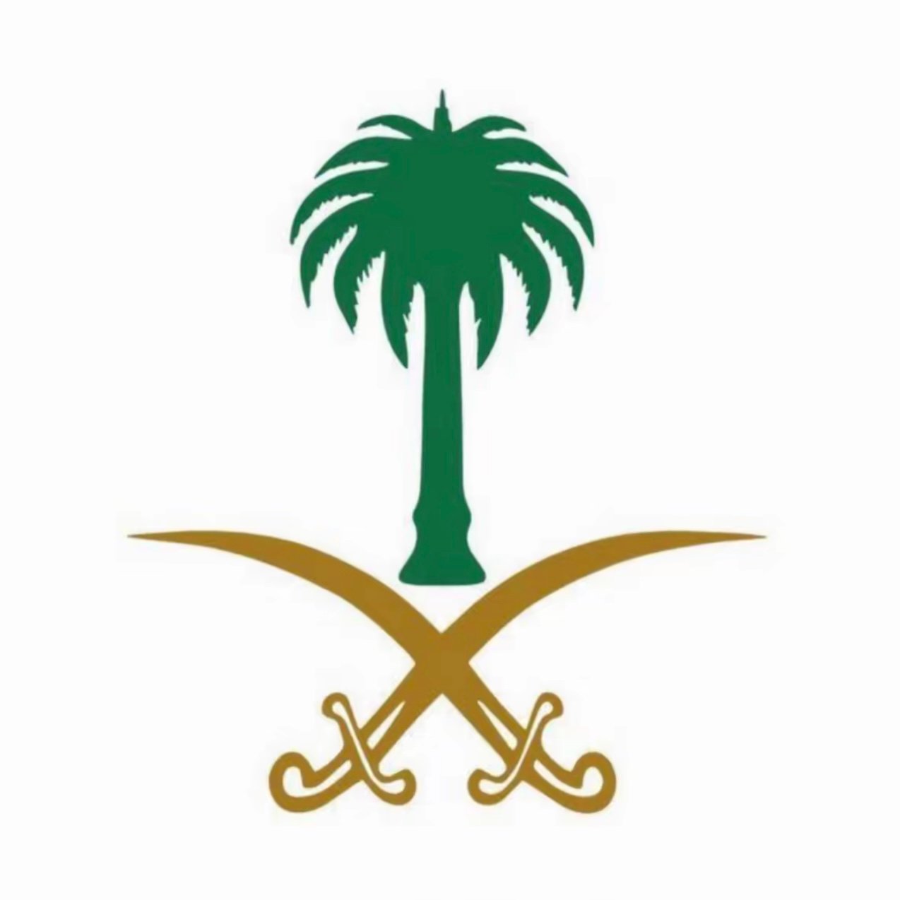 ziyad almutairi