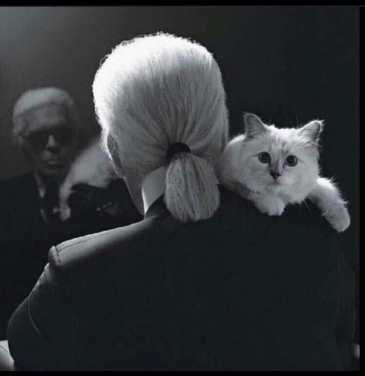 فاطمه البركاتي