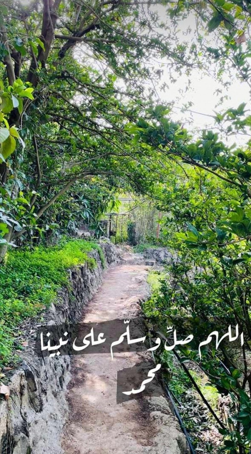 أحمد 