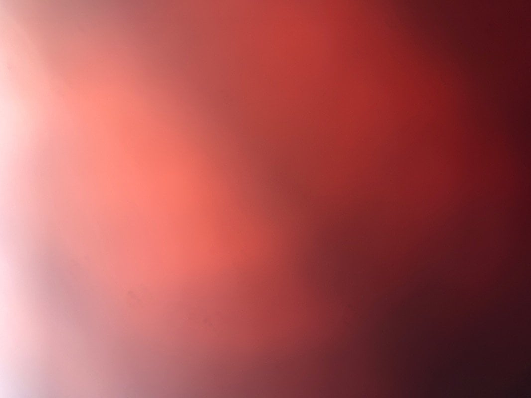 نصره الأسمري