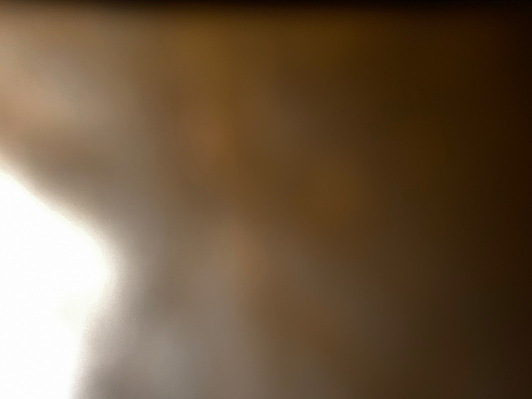 عبير المالكي