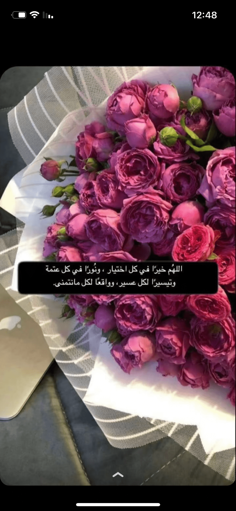 شوق الطويل الطويل