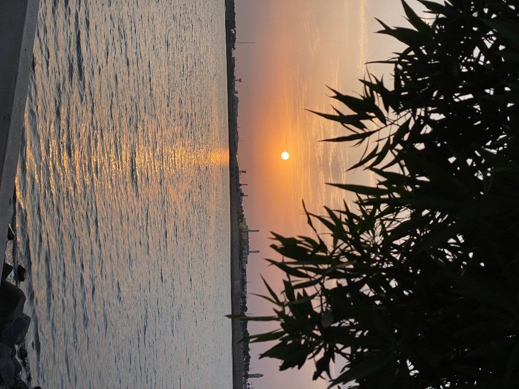 أحلام عريشي