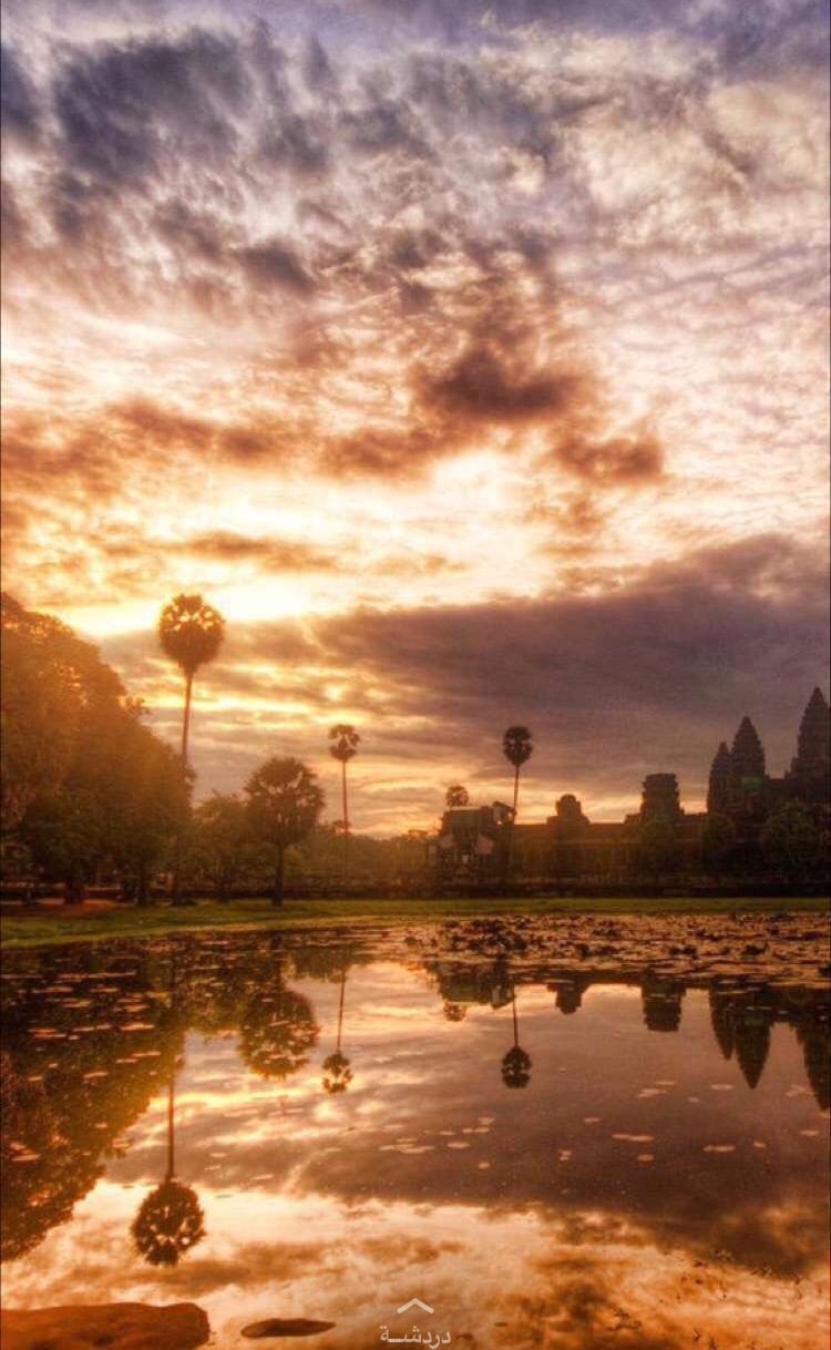 فاطمه المطرودي