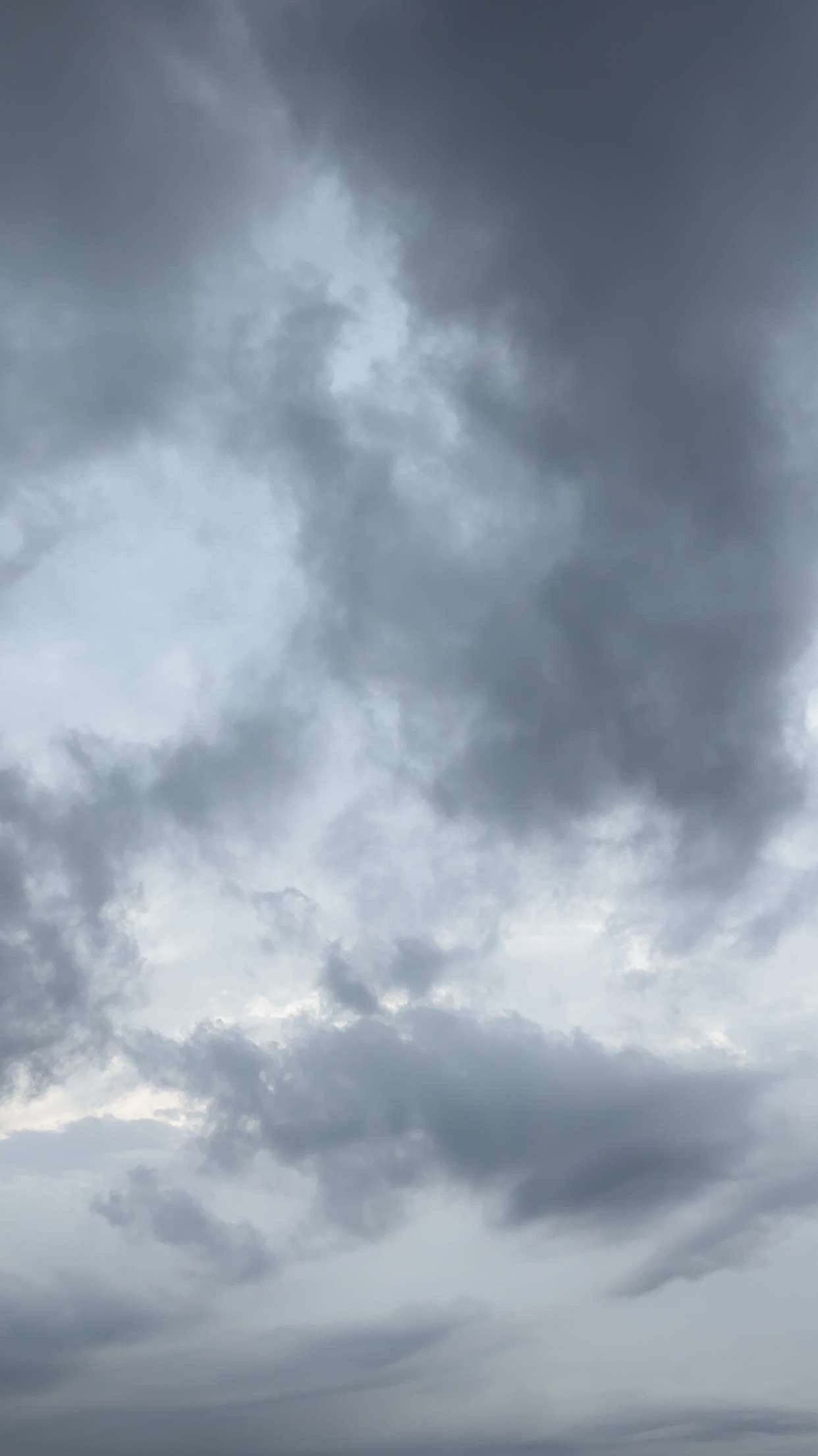 عبدالعزيز معشي