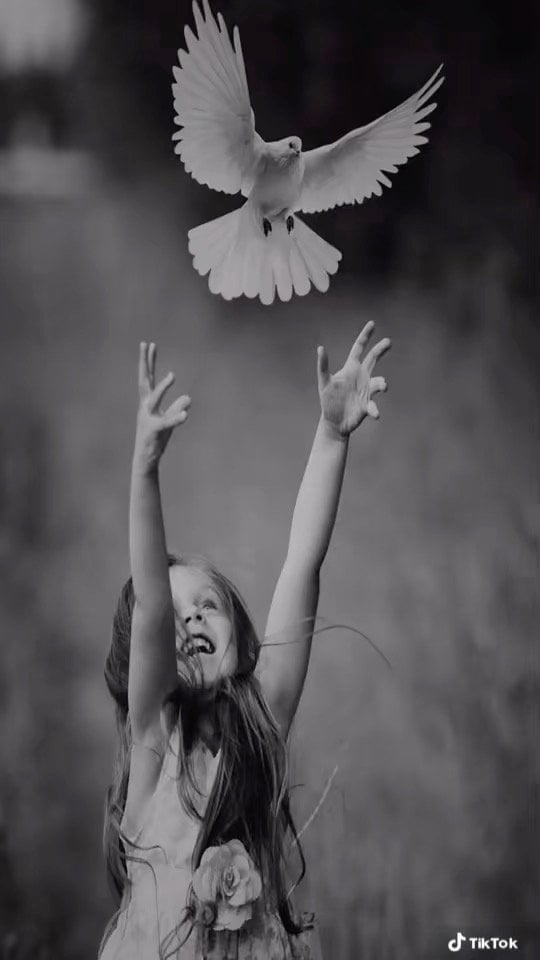 عبدالإله الشريف