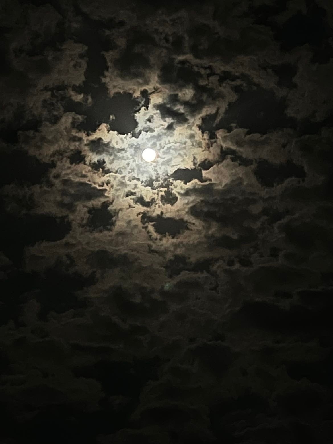 العنود الهذلي