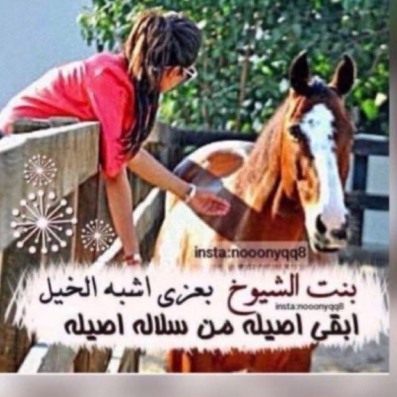 بشري العنزي