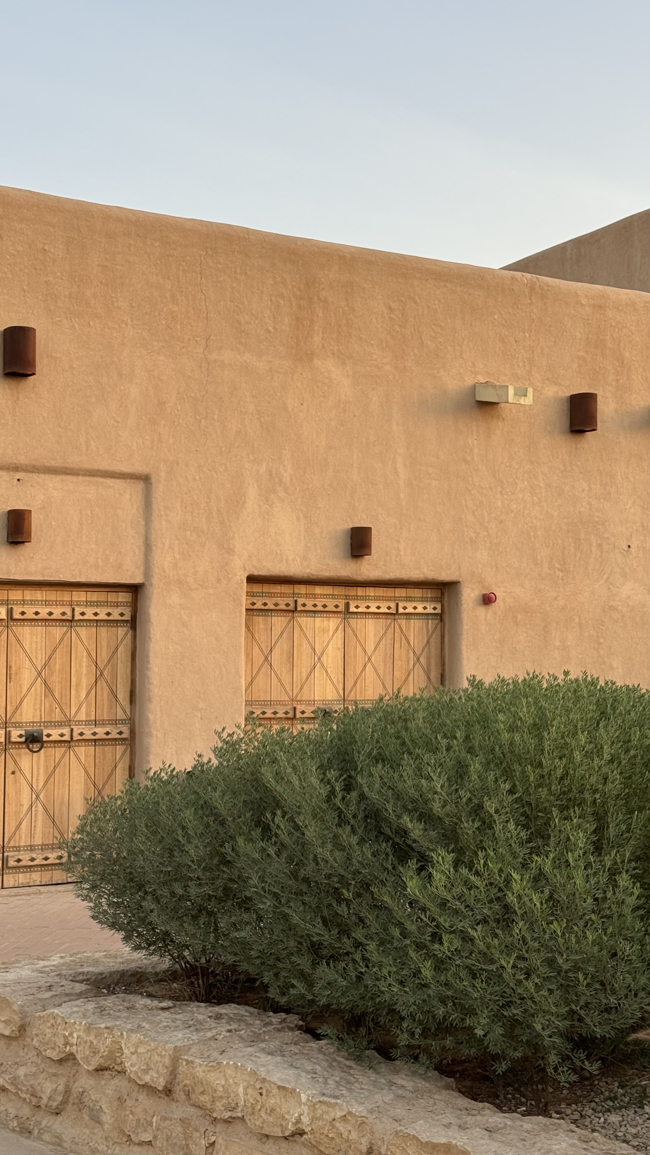 محسن الجعشاني