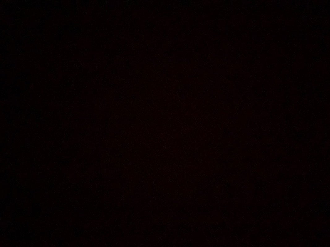 B O