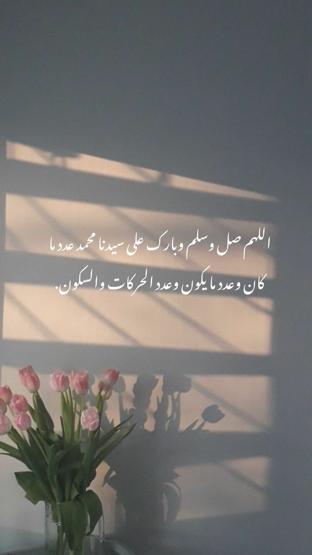 مودة عثمان