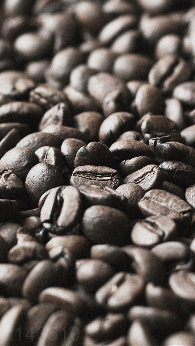 ناصر الغامدي