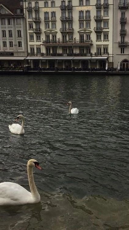 وضحى الدوسري