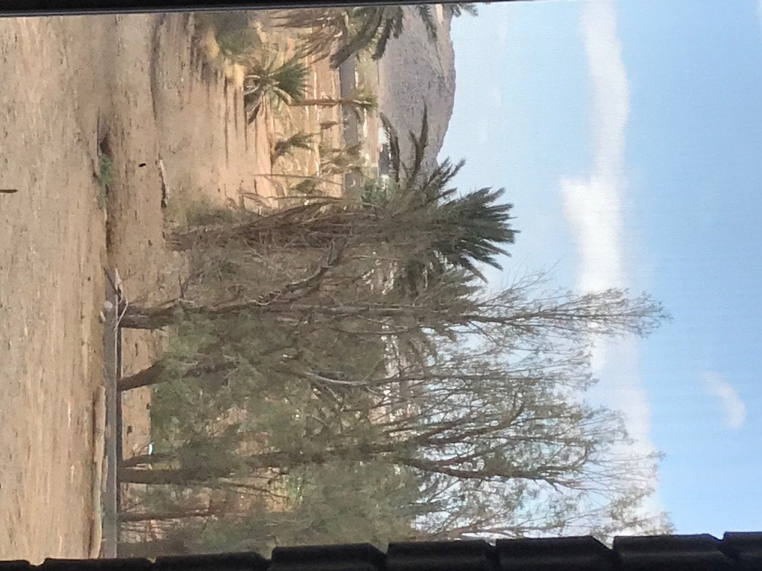 خالد العويضي