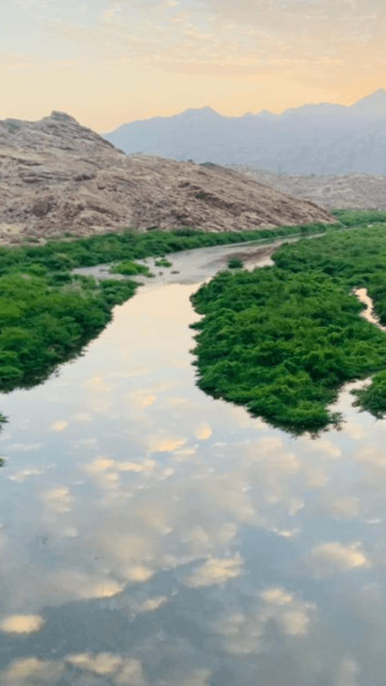 تركي محمد القرني