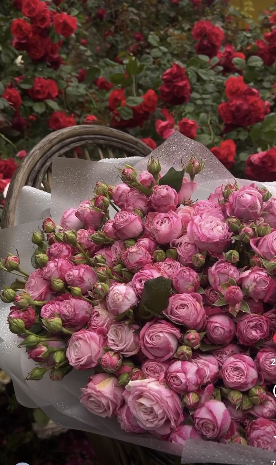 رهف الزهراني