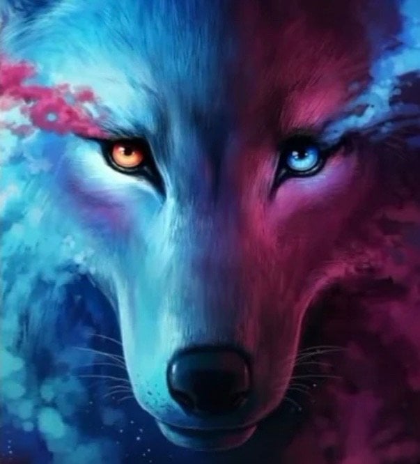 أحمد الدوسري