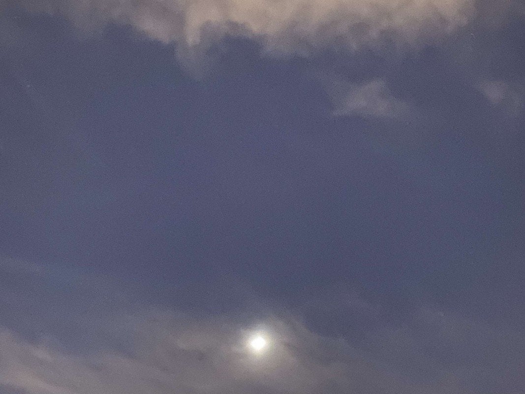 مارية التويجري