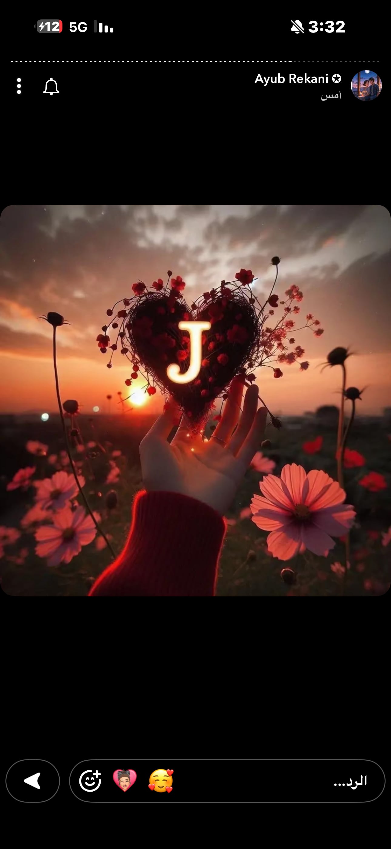 جميله الينبعاوي