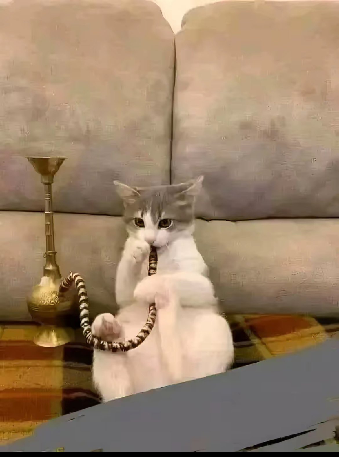 customer