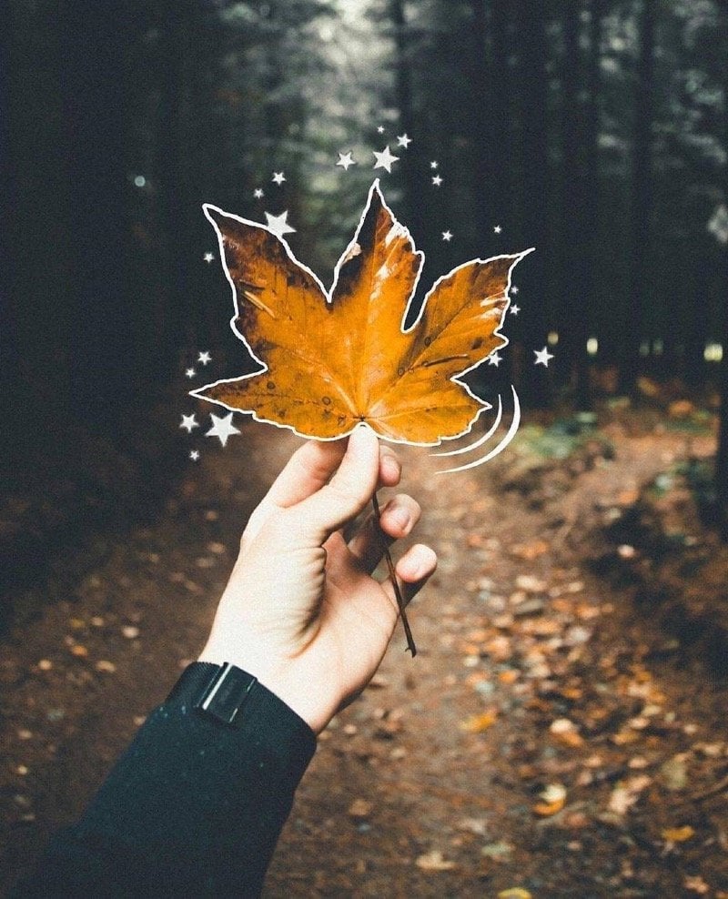 عبدالله الجهني