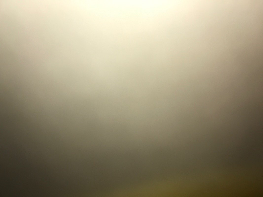 داليا الفيصل