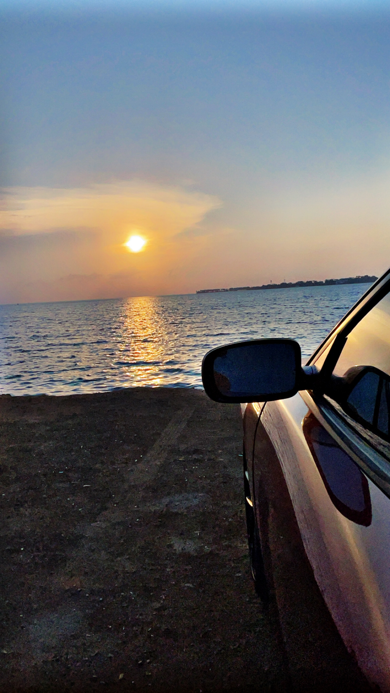 محمد ال غانم