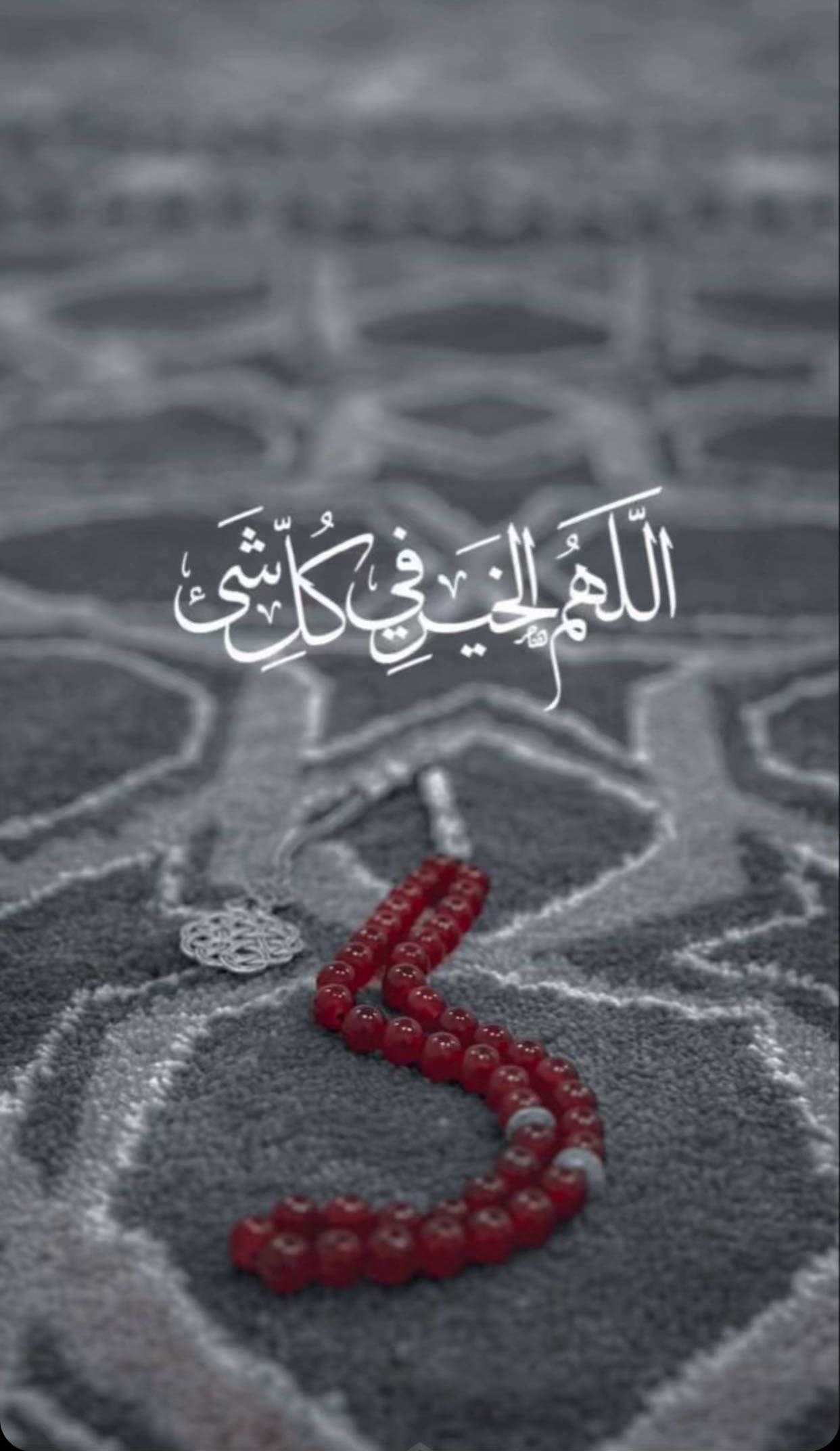 ملك المطيري