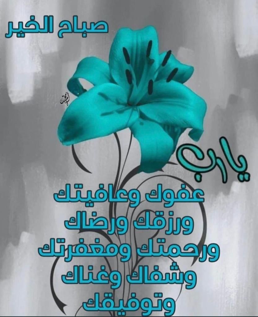 صالحة محمد