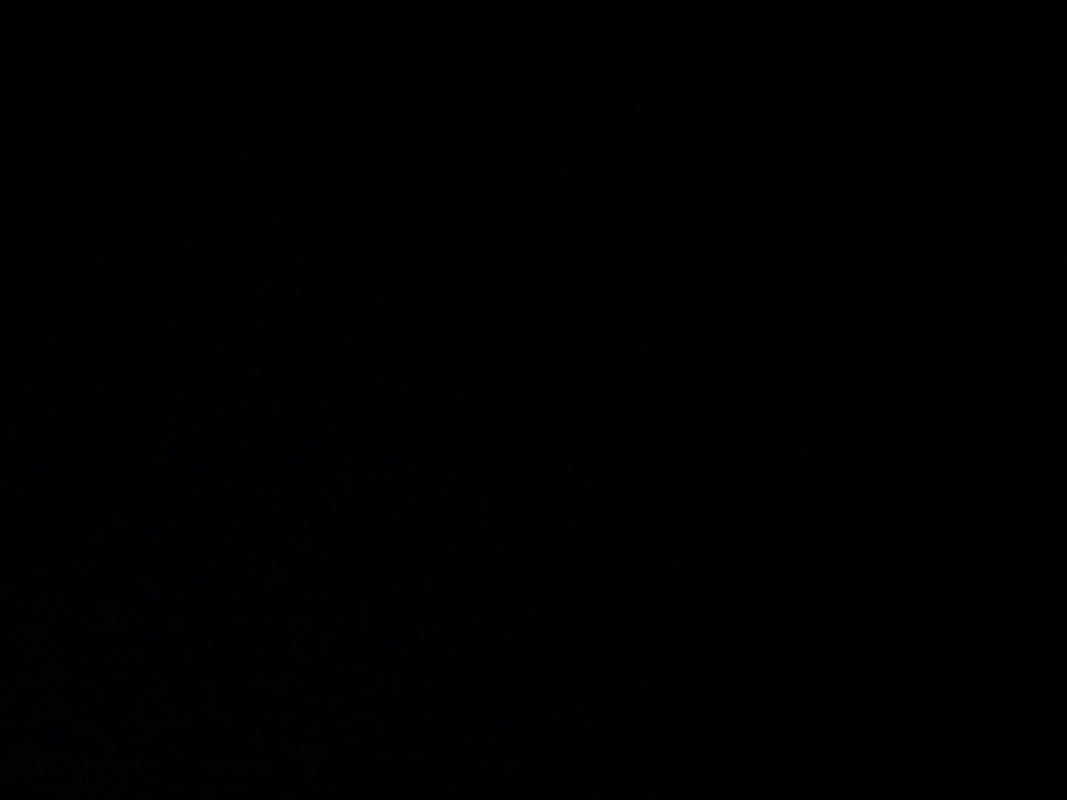 دعاء ال عاشور